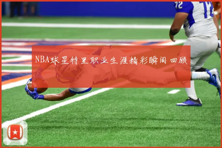 NBA球星特里职业生涯精彩瞬间回顾