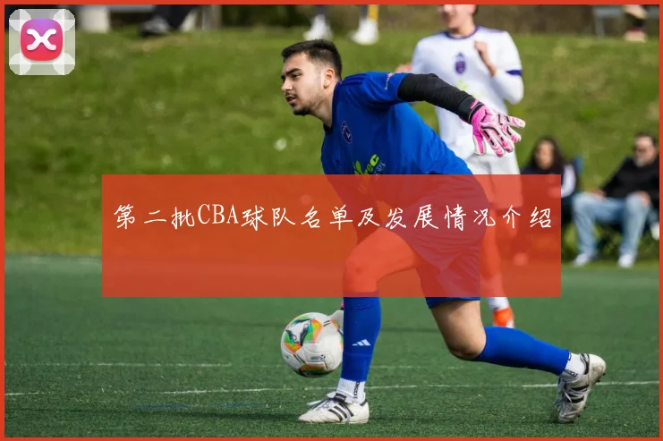 第二批CBA球队名单及发展情况介绍