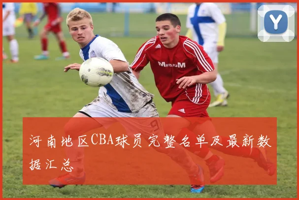 河南地区CBA球员完整名单及最新数据汇总